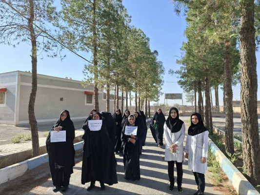 تصویر همایش پیاده روی