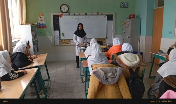 آموزش گروهی مهارت خودمراقبتی و مدیریت بحران درسالمندان