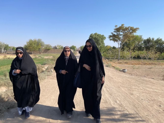 برگزاری همایش پیاده‌روی خانوادگی در  شهر مزرعه شور