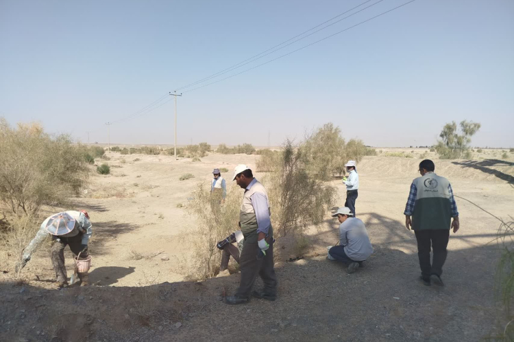 تصویر عملیات