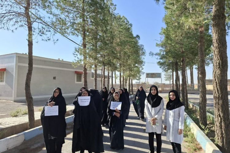 تصویر همایش پیاده روی