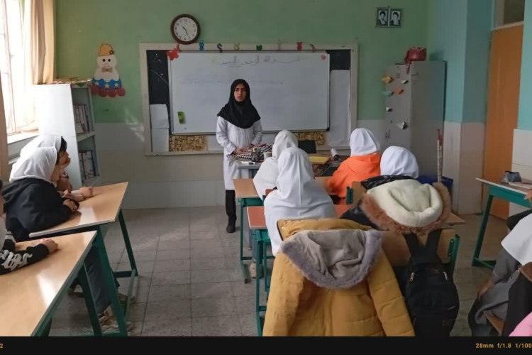 آموزش گروهی مهارت خودمراقبتی و مدیریت بحران درسالمندان