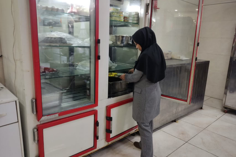 طرح تشدید بازدید بهداشت محیط سجزی