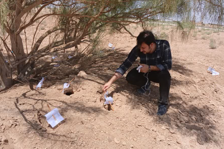 آغاز مرحله سوم طرح مبارزه با سالک در کوهپایه با حضور و نظارت کارشناس مرکز بهداشت استان