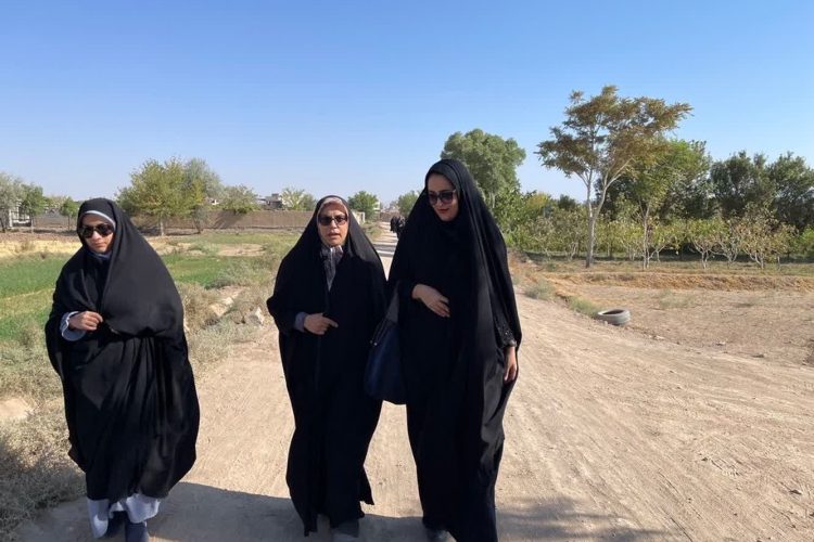 برگزاری همایش پیاده‌روی خانوادگی در  شهر مزرعه شور