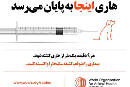 هاری