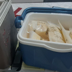 اهدا شیر ، اهدای زندگی