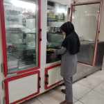 طرح تشدید بازدید بهداشت محیط سجزی