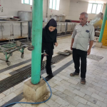 بازدید از ایستگاه های صلواتی و آشپزخانه مساجد، حسینیه ها، تکایا و دسته های عزاداری شهرستان کوهپایه